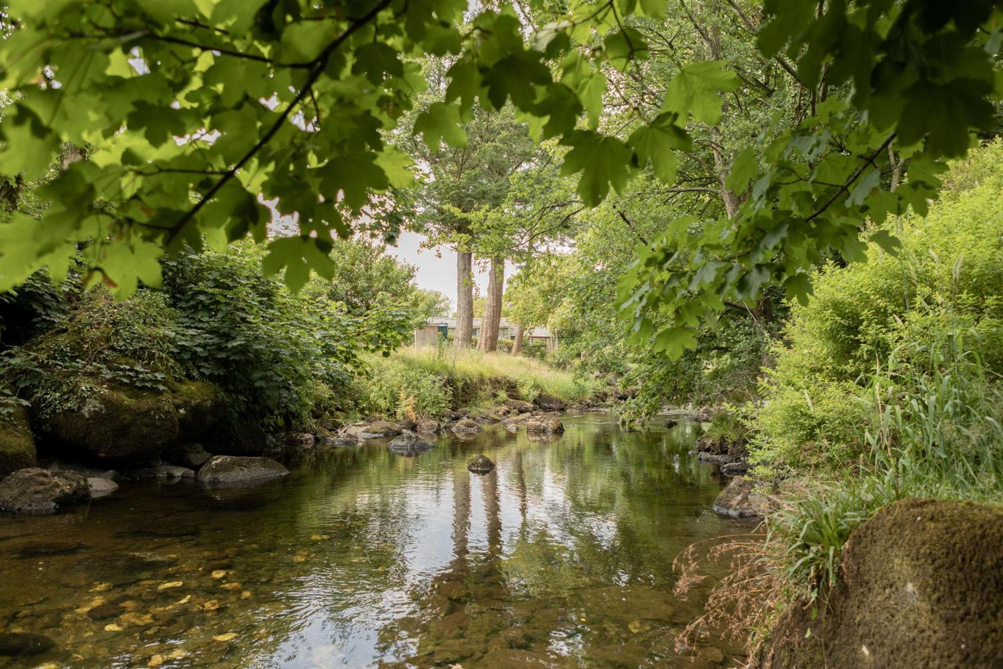 Afonfa - Llanuwchllyn Villa Bala Buitenkant foto